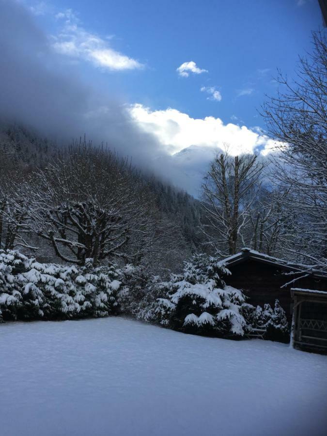 Chalet Des Petits Loups Chamonix Exterior foto